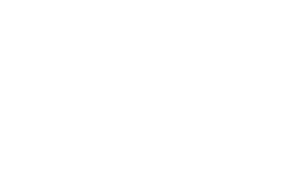 SVLK