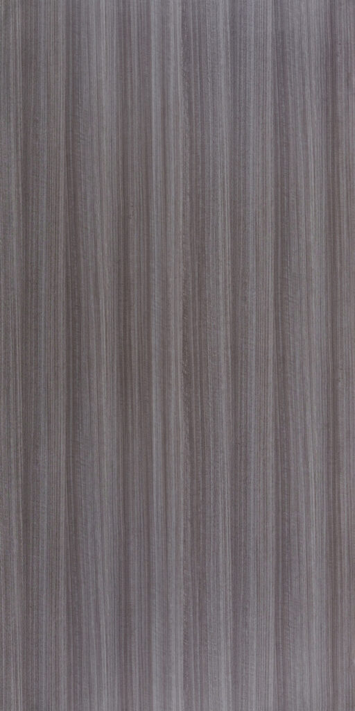 Ebano Elm